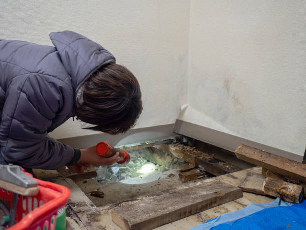 Best Mold Odor Removal Services  in Fairmount, GA