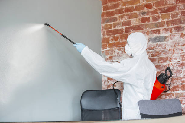 Best Dehumidification Services  in Fairmount, GA
