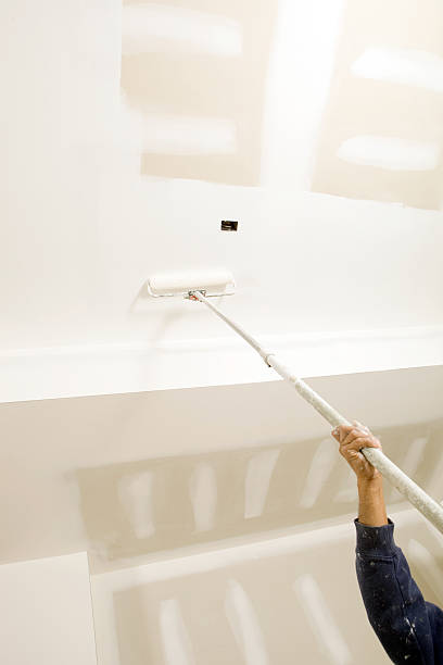 Trusted Fairmount, GA Mold Removal Experts